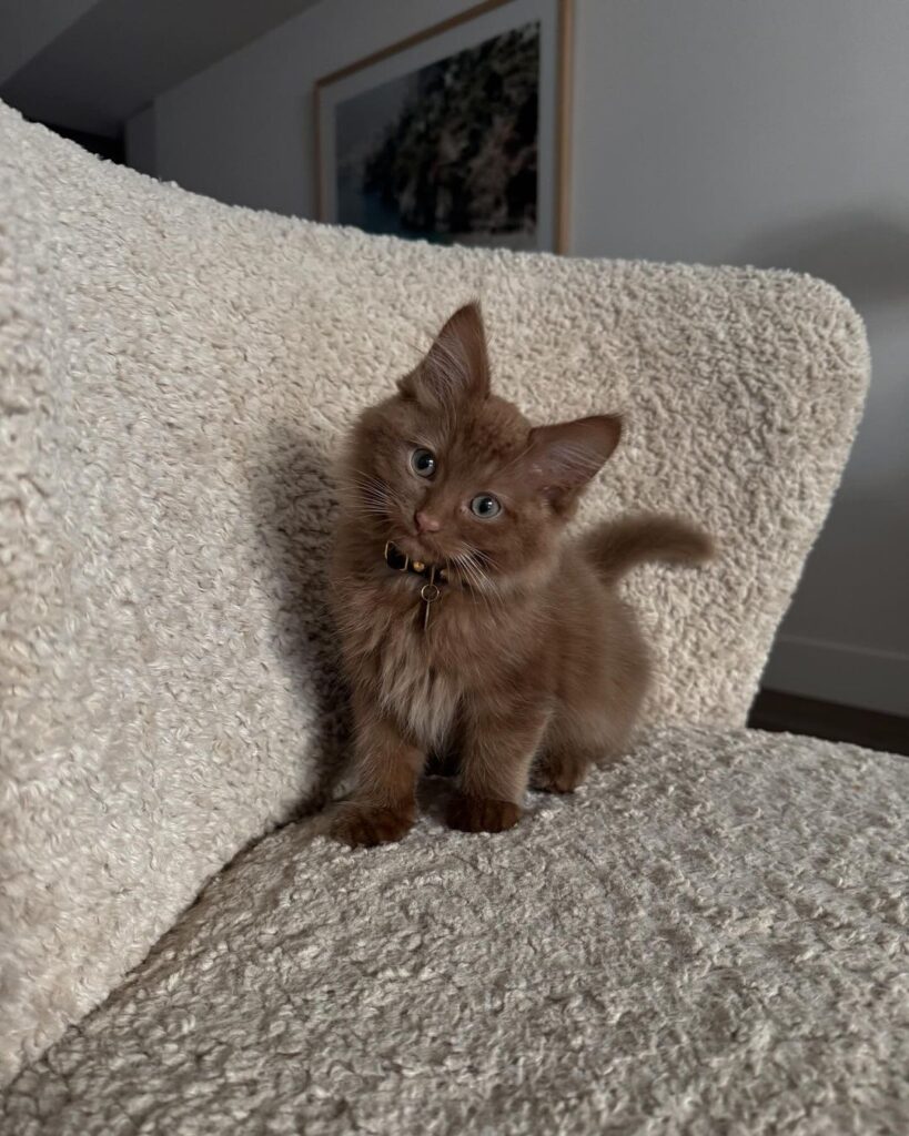 Arthur WEBSITE Arthur WEBSITE