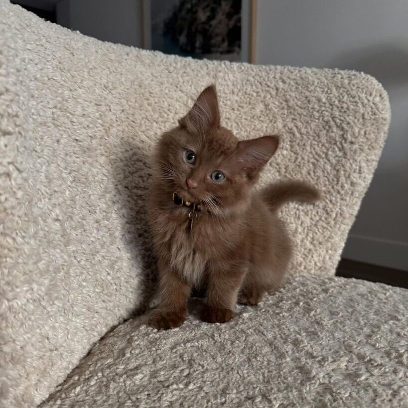 Arthur WEBSITE Arthur WEBSITE